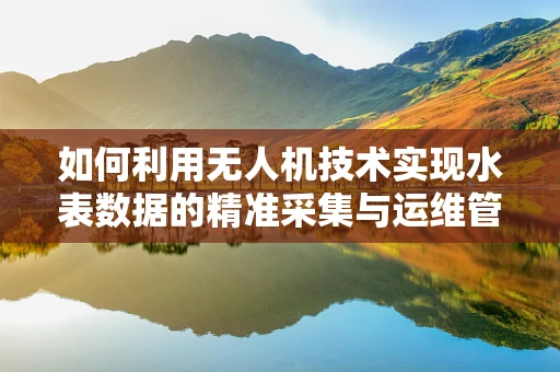 如何利用无人机技术实现水表数据的精准采集与运维管理？