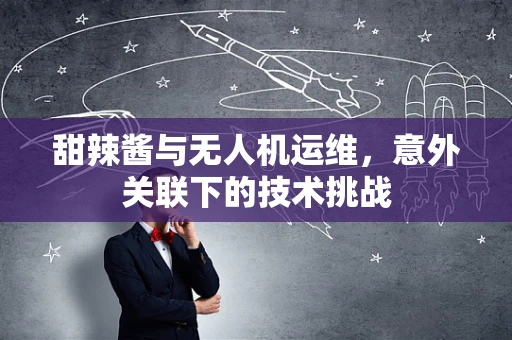 甜辣酱与无人机运维，意外关联下的技术挑战