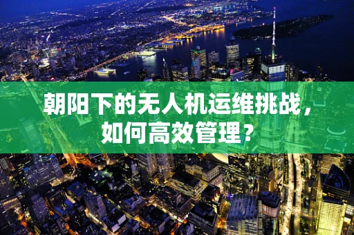 朝阳下的无人机运维挑战，如何高效管理？