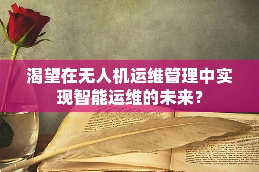 渴望在无人机运维管理中实现智能运维的未来？