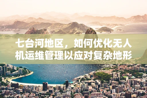 七台河地区，如何优化无人机运维管理以应对复杂地形挑战？
