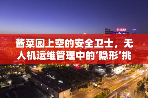 酱菜园上空的安全卫士，无人机运维管理中的‘隐形’挑战