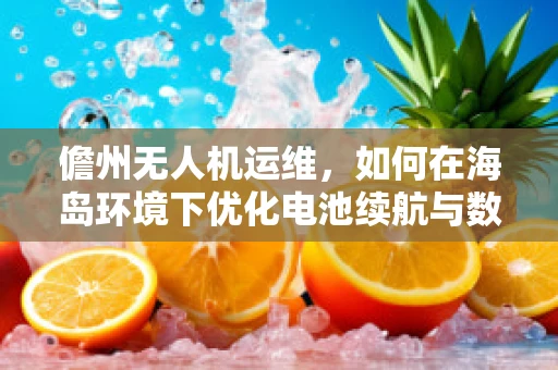 儋州无人机运维，如何在海岛环境下优化电池续航与数据传输？