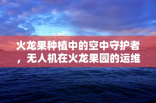 火龙果种植中的空中守护者，无人机在火龙果园的运维管理新挑战