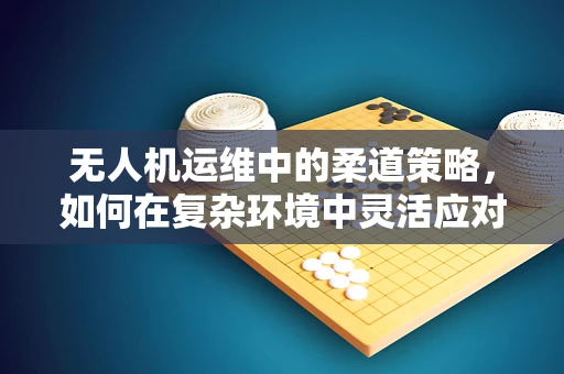 无人机运维中的柔道策略，如何在复杂环境中灵活应对？