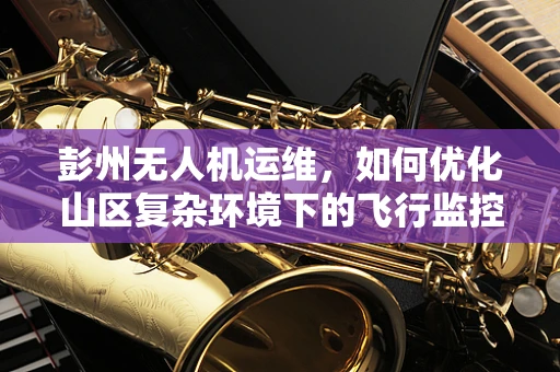 彭州无人机运维，如何优化山区复杂环境下的飞行监控？