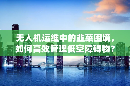 无人机运维中的韭菜困境，如何高效管理低空障碍物？