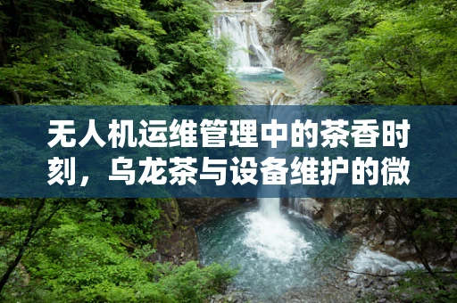 无人机运维管理中的茶香时刻，乌龙茶与设备维护的微妙联系