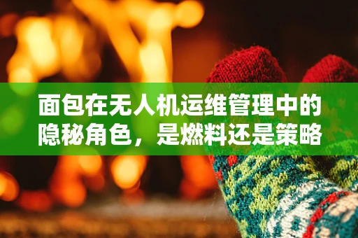 面包在无人机运维管理中的隐秘角色，是燃料还是策略？