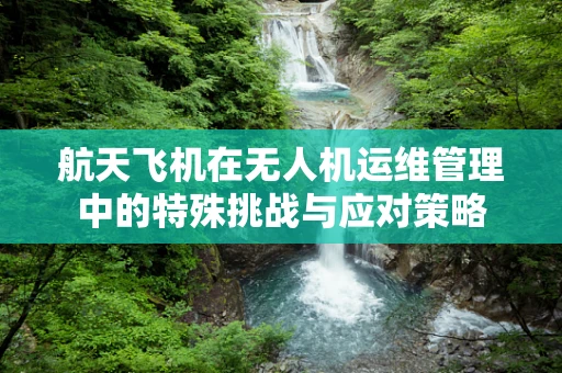 航天飞机在无人机运维管理中的特殊挑战与应对策略