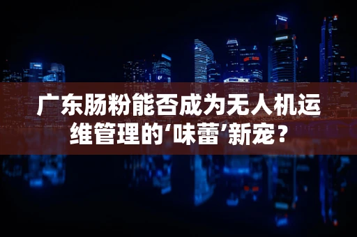 广东肠粉能否成为无人机运维管理的‘味蕾’新宠？