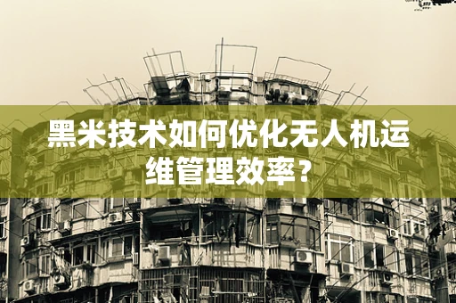 黑米技术如何优化无人机运维管理效率？