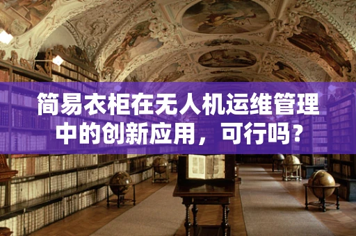 简易衣柜在无人机运维管理中的创新应用，可行吗？