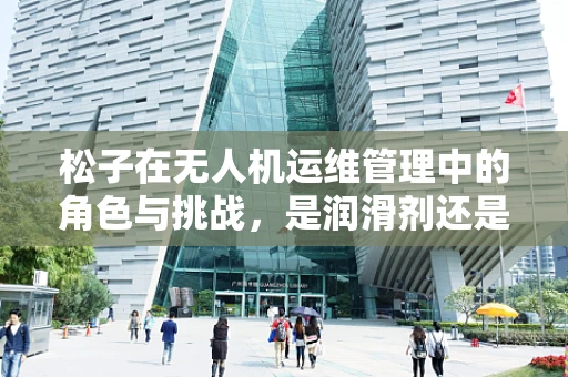 松子在无人机运维管理中的角色与挑战，是润滑剂还是未知数？