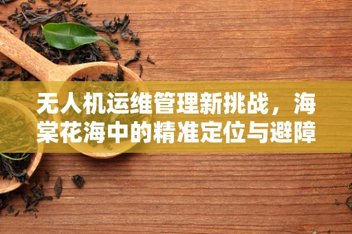 无人机运维管理新挑战，海棠花海中的精准定位与避障