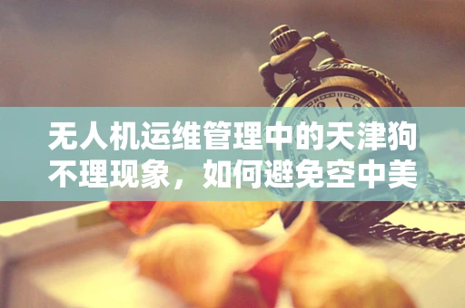 无人机运维管理中的天津狗不理现象，如何避免空中美食的意外坠落？
