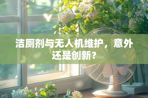 洁厕剂与无人机维护，意外还是创新？