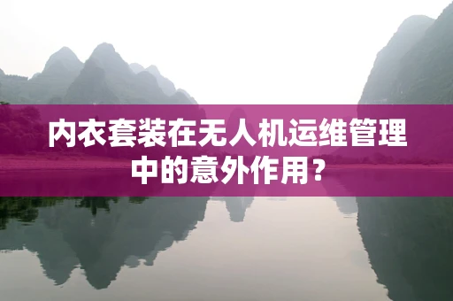 内衣套装在无人机运维管理中的意外作用？