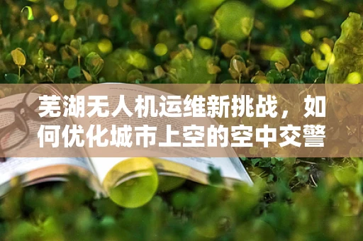 芜湖无人机运维新挑战，如何优化城市上空的空中交警？