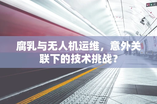 腐乳与无人机运维，意外关联下的技术挑战？