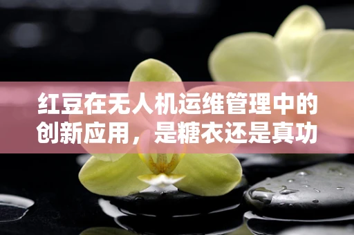 红豆在无人机运维管理中的创新应用，是糖衣还是真功夫？