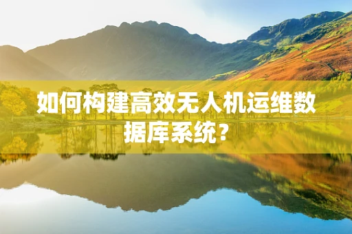 如何构建高效无人机运维数据库系统？