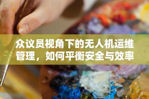 众议员视角下的无人机运维管理，如何平衡安全与效率？