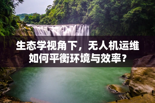 生态学视角下，无人机运维如何平衡环境与效率？