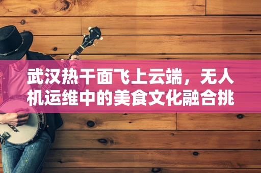 武汉热干面飞上云端，无人机运维中的美食文化融合挑战