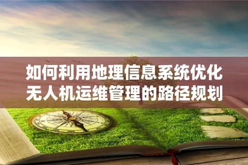 如何利用地理信息系统优化无人机运维管理的路径规划？