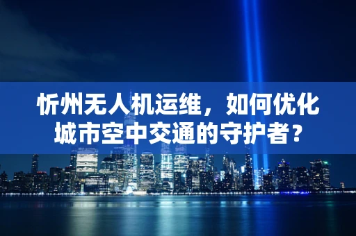 忻州无人机运维，如何优化城市空中交通的守护者？