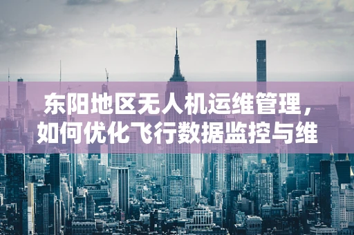 东阳地区无人机运维管理，如何优化飞行数据监控与维护策略？