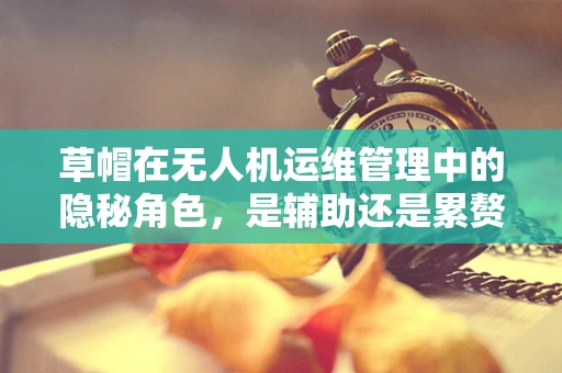 草帽在无人机运维管理中的隐秘角色，是辅助还是累赘？