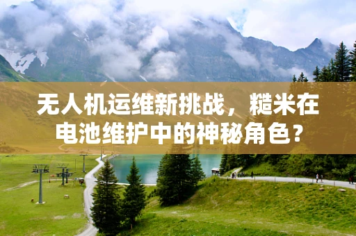 无人机运维新挑战，糙米在电池维护中的神秘角色？