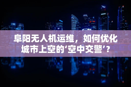 阜阳无人机运维，如何优化城市上空的‘空中交警’？