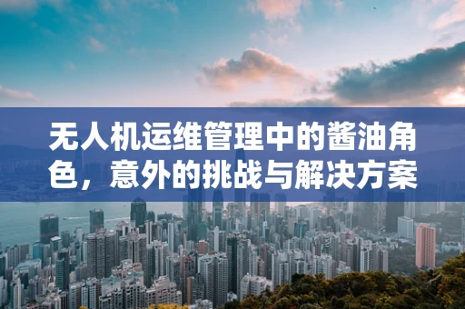 无人机运维管理中的酱油角色，意外的挑战与解决方案