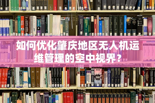 如何优化肇庆地区无人机运维管理的空中视界？