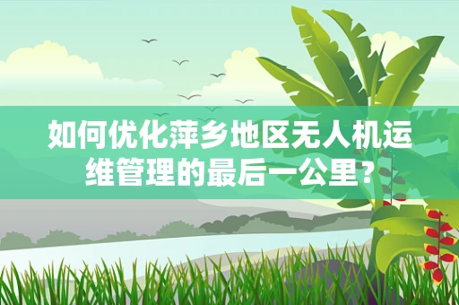 如何优化萍乡地区无人机运维管理的最后一公里？