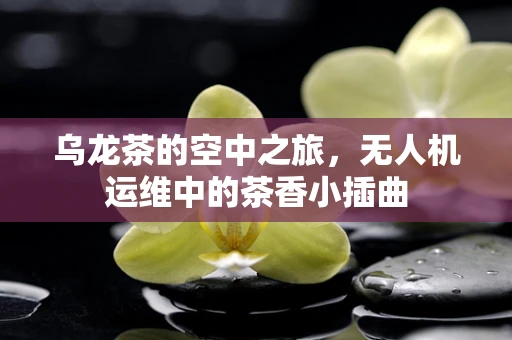 乌龙茶的空中之旅，无人机运维中的茶香小插曲