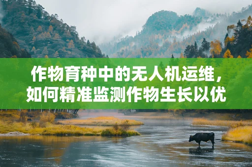 作物育种中的无人机运维，如何精准监测作物生长以优化育种策略？