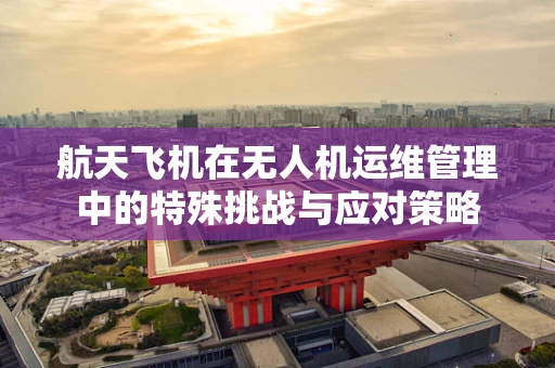 航天飞机在无人机运维管理中的特殊挑战与应对策略