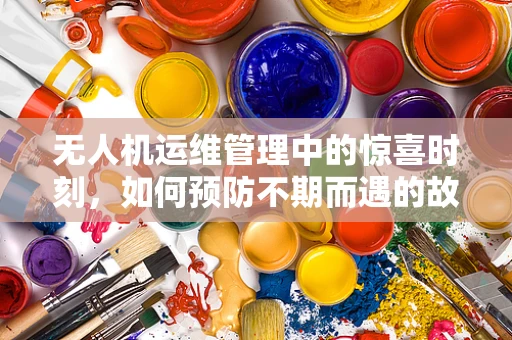 无人机运维管理中的惊喜时刻，如何预防不期而遇的故障？