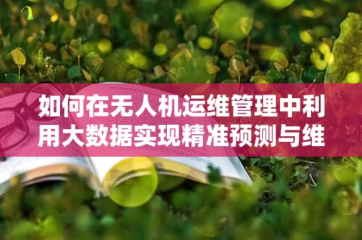 如何在无人机运维管理中利用大数据实现精准预测与维护？