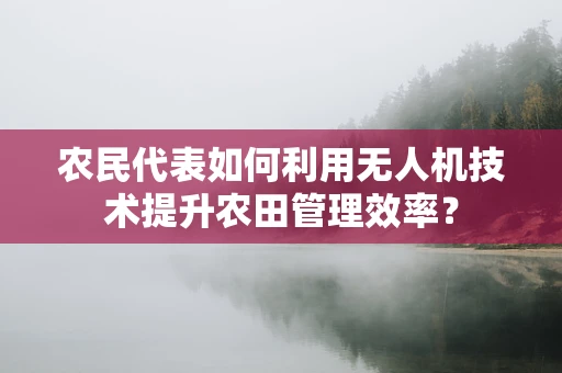 农民代表如何利用无人机技术提升农田管理效率？
