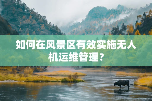 如何在风景区有效实施无人机运维管理？