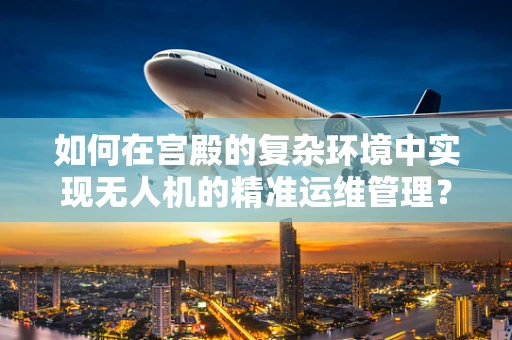 如何在宫殿的复杂环境中实现无人机的精准运维管理？