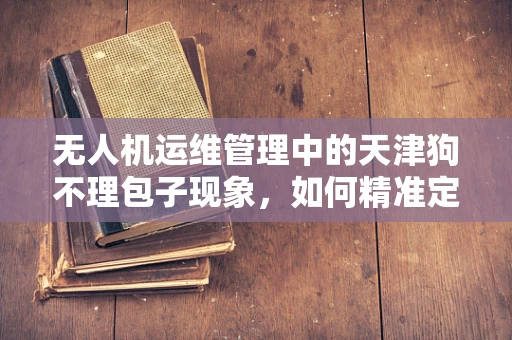 无人机运维管理中的天津狗不理包子现象，如何精准定位与快速响应？