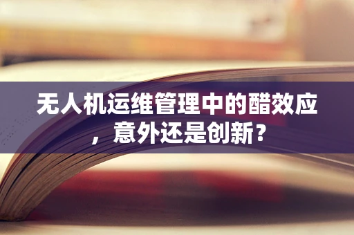 无人机运维管理中的醋效应，意外还是创新？