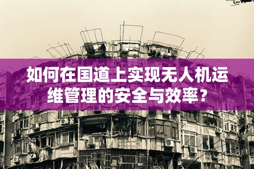 如何在国道上实现无人机运维管理的安全与效率？