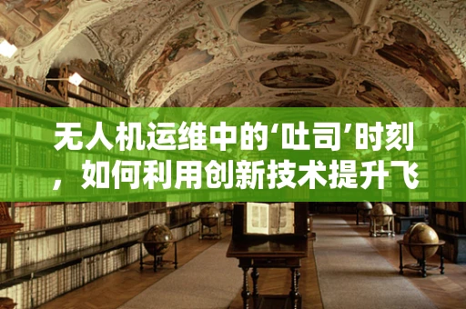 无人机运维中的‘吐司’时刻，如何利用创新技术提升飞行稳定性？